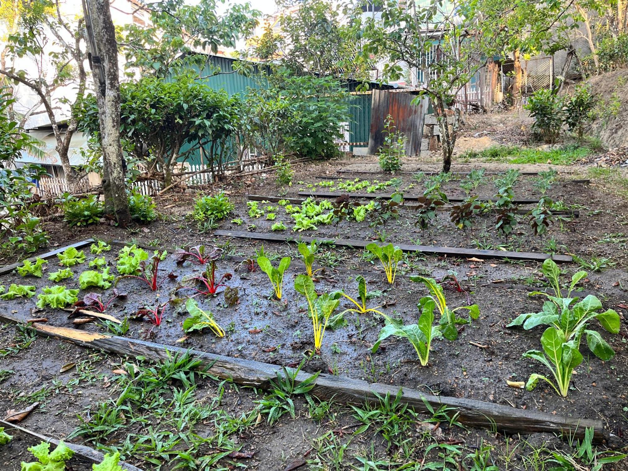 Nap O Teepee Homestay Dalat Exterior foto